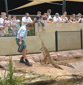 Symbio Wildlife Gardens - Tourism Noosa 3