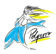 Polperro Dolphin Swims - Tourism Noosa