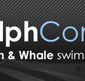 Dolphcom - Dolphin  Whale Swimming Adventures - Tourism Noosa