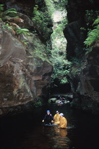 High And Wild Mountain Adventures - Tourism Noosa 1