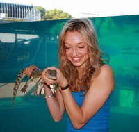 Crocosaurus Cove - Tourism Noosa