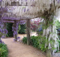 Abingdon Miniature Village - Tourism Noosa