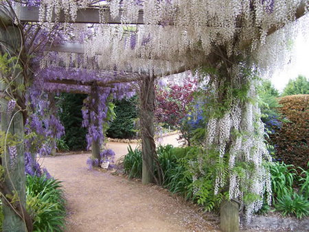 Abingdon Miniature Village - Tourism Noosa 0