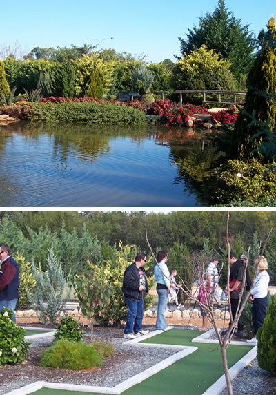 Abingdon Miniature Village - Tourism Noosa 2