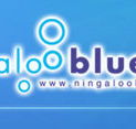 Ningaloo Blue Dive - Tourism Noosa
