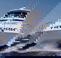 Sunshine Coast Fishing Charters - Tourism Noosa