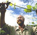 Barossa Experience Tours - Tourism Noosa