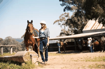 Watsons Trail Rides - Tourism Noosa