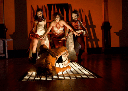 Zen Zen Zo Physical Theatre - Tourism Noosa 1