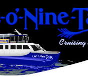 Cat O' NineTails - Tourism Noosa