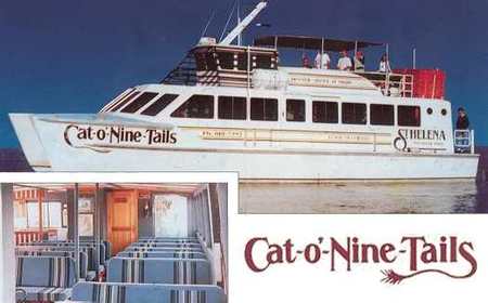 Cat O' NineTails - Tourism Noosa 1