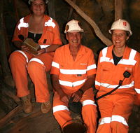 Mining Hall of Fame - Tourism Noosa
