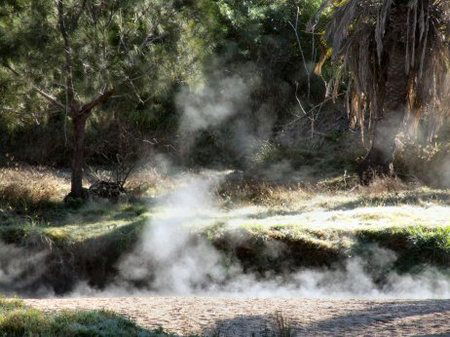 Innot Hot Springs Leisure & Health Park - Tourism Noosa 3