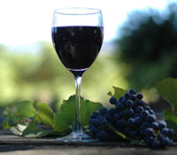 Lion Mill Vineyards - Tourism Noosa 0