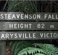 Stevensons Falls - Tourism Noosa