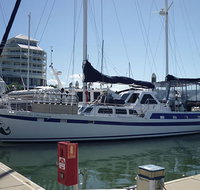Coral Sea Dreaming Dive and Sail - Tourism Noosa