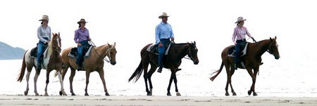 Ride The Beach - Tourism Noosa 0