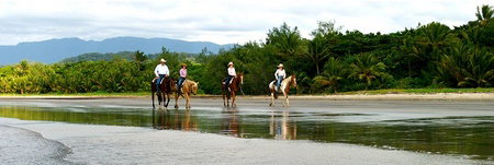 Ride The Beach - Tourism Noosa 2