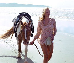 Ride The Beach - Tourism Noosa 3