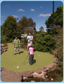 Wetlands Mini Golf - Tourism Noosa 0