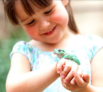 Reptile Encounters - Tourism Noosa 1
