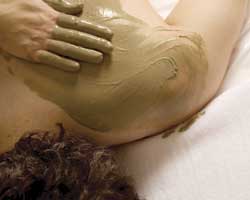 Alkaline Spa & Clinic - Tourism Noosa 2
