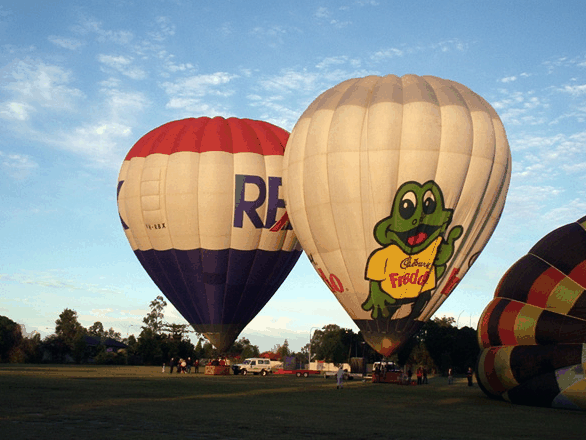 Balloons Over Brisbane - Tourism Noosa 2