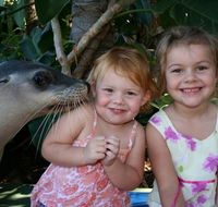 Dolphin Marine Magic - Tourism Noosa