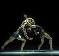 Sydney Dance Company - Tourism Noosa
