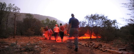 Alice Springs Desert Park - Tourism Noosa 4