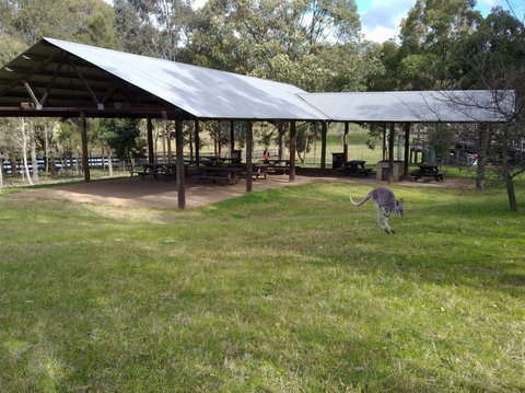 Calmsley Hill City Farm - Tourism Noosa 5