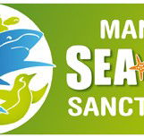 Manly SEA LIFE Sanctuary - Tourism Noosa