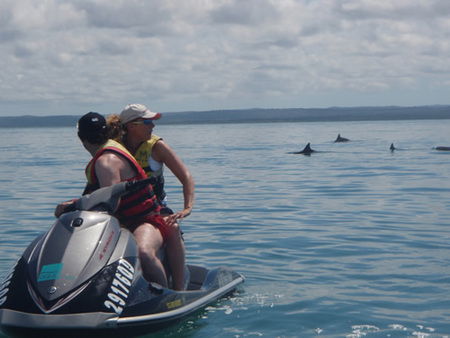 Aquavue Cafe Watersports - Tourism Noosa 5