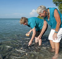 Aquascene Fish Feeding Sanctuary - Tourism Noosa