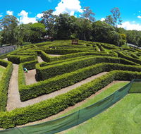 Bellingham Maze - Tourism Noosa