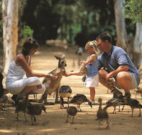 Billabong Sanctuary - Tourism Noosa