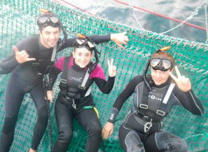 Dolphin Swim Australia - Tourism Noosa 7