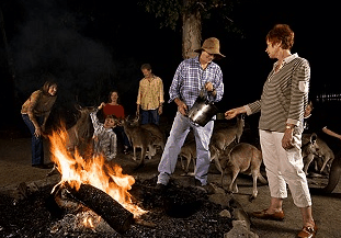 Cairns Night Zoo - Tourism Noosa