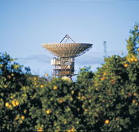 Big Dish - Tourism Noosa