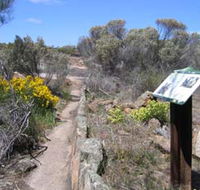Christmas Rock Walk - Tourism Noosa