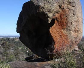 Eagle's View Walk, John Forrest National Park - Tourism Noosa 0