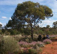 Karlkurla Bushland Park - Tourism Noosa