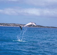 Steep Point - Tourism Noosa