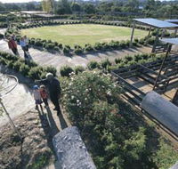 Kojonup Rose Maze - Tourism Noosa