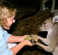 Discovery Bay's Walk on the Wild Side - Tourism Noosa