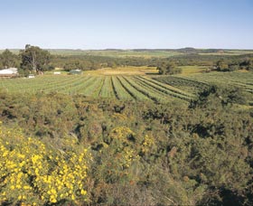Chapman Valley Scenic Drive - Tourism Noosa 0