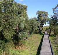 Kepwari Trails Wetland Wonderland - Tourism Noosa