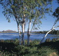 Celebrity Tree Park - Tourism Noosa