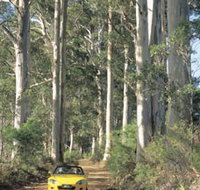 Mount Shadforth Scenic Drive - Tourism Noosa