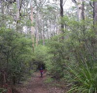 Margaret River Rails Trail - Tourism Noosa